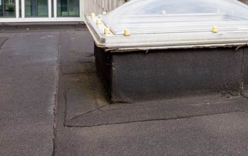 disadvantages of Hallington flat roofs