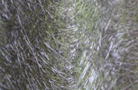 Hallington fibreglass roof work